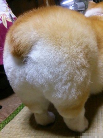 그동안 엄선해서 저장해온 지구뿌셔짤(1).jpggif (데이터주의) | 인스티즈