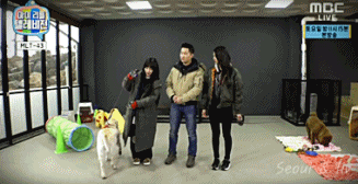 개한테도 호구취급당하는 AOA 민아.gif | 인스티즈