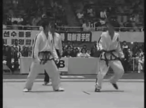 철권 화랑의 실제 모델 ITF 황수일 | 인스티즈