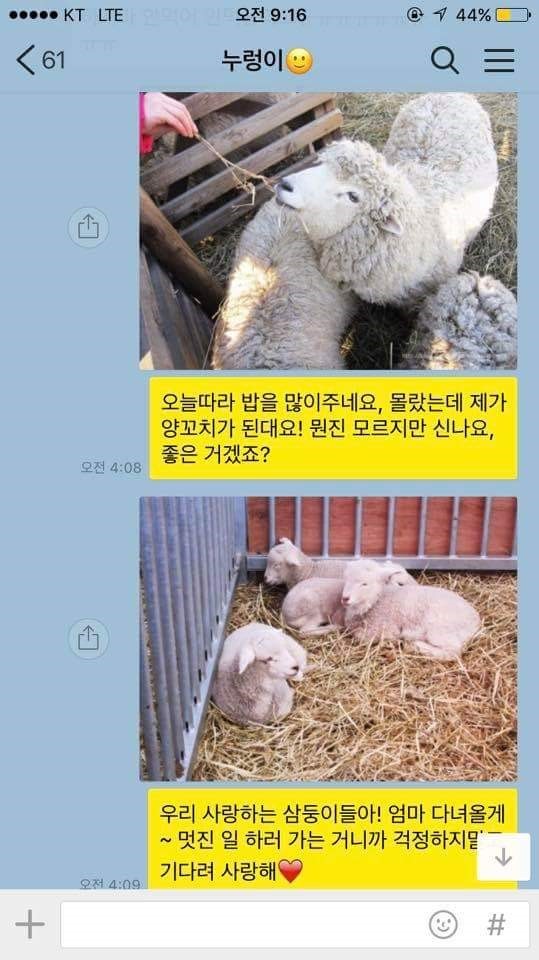 냉혹한 다이어트 도우미 | 인스티즈