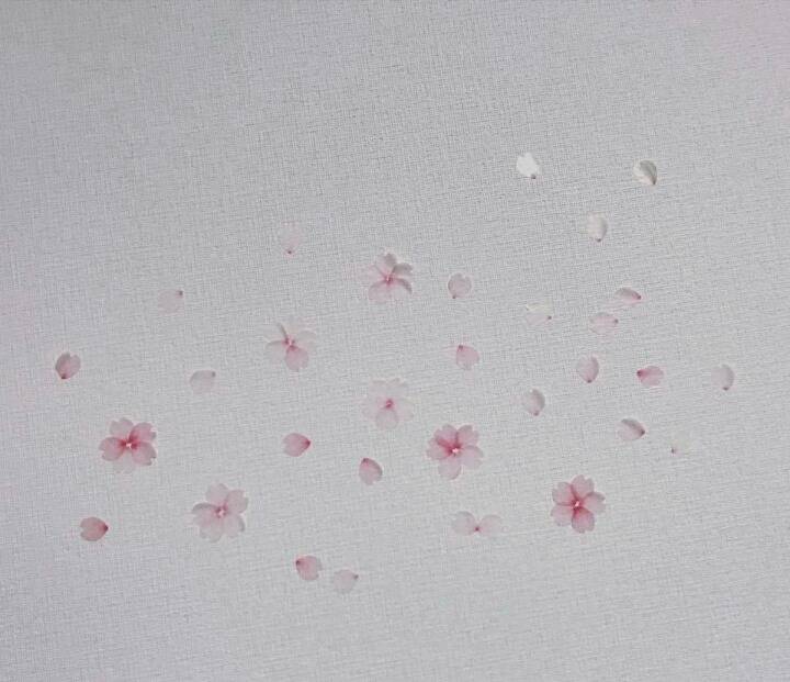 벚꽃 마스킹테이프 | 인스티즈