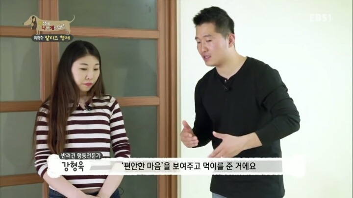 공격적인 반려견이 되는 이유 2부.jp | 인스티즈