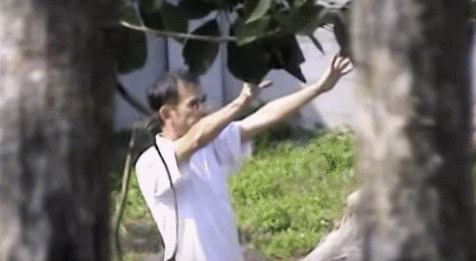 술먹고 사자우리 들어가 전도하시는 목사님.gif | 인스티즈