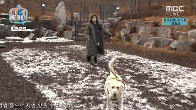 개한테도 호구취급당하는 AOA 민아.gif | 인스티즈