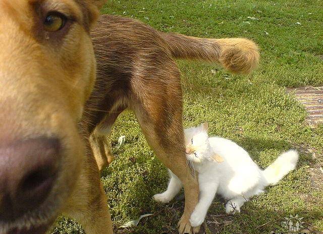 먹을거야?? 나도 줄거지?? | 인스티즈