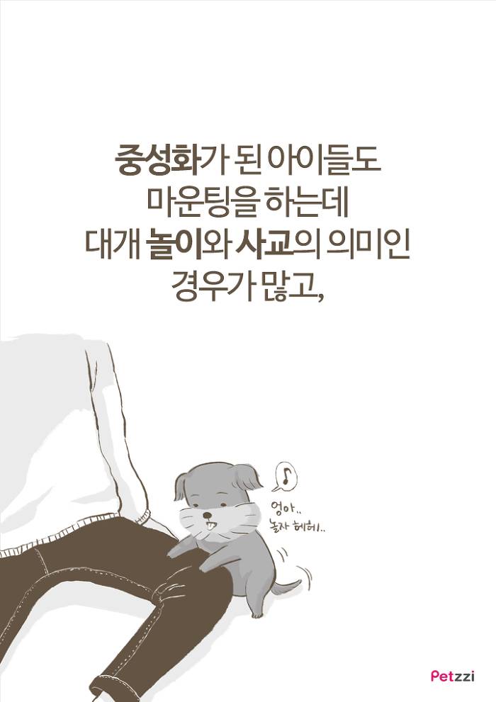 강아지 붕가붕가.jpg | 인스티즈