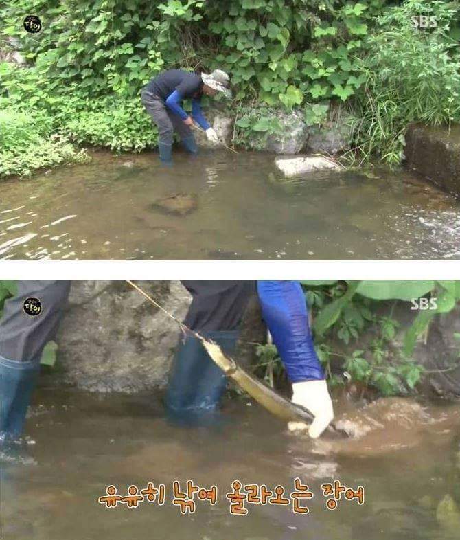 민물장어의 위엄 | 인스티즈