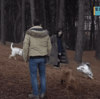 개한테도 호구취급당하는 AOA 민아.gif | 인스티즈