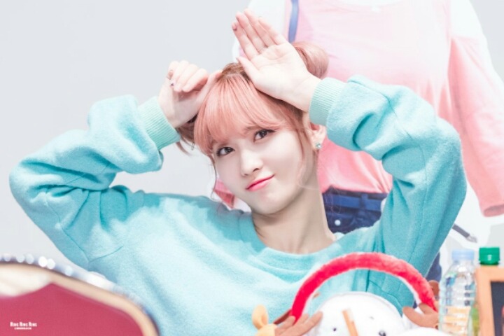 [트와이스] 토토로를 따라하는 모모 | 인스티즈