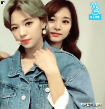 정연이 쇄골 만지는 쯔위.gif | 인스티즈