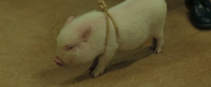 검은사제들 돈돈이의 편지 | 인스티즈