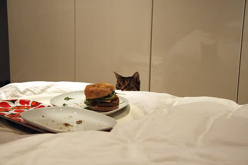 먹을거야?? 나도 줄거지?? | 인스티즈