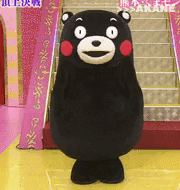 한국과 일본의 깨방정甲 마스코트(짤줍).jpgif | 인스티즈