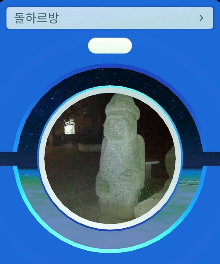 혼돈의 포켓몬 go 상황 | 인스티즈