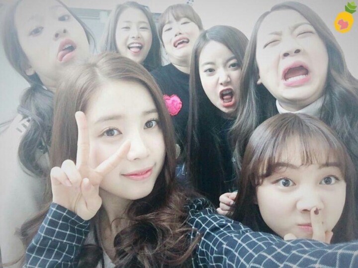 채경이랑 에이프릴 같이 찍은 사진 모음 | 인스티즈