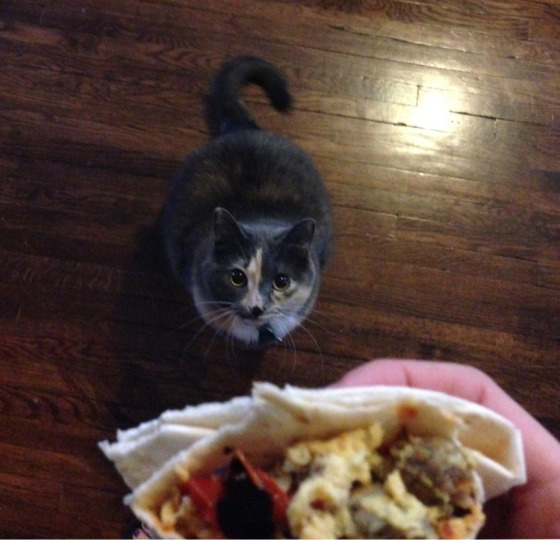 먹을거야?? 나도 줄거지?? | 인스티즈