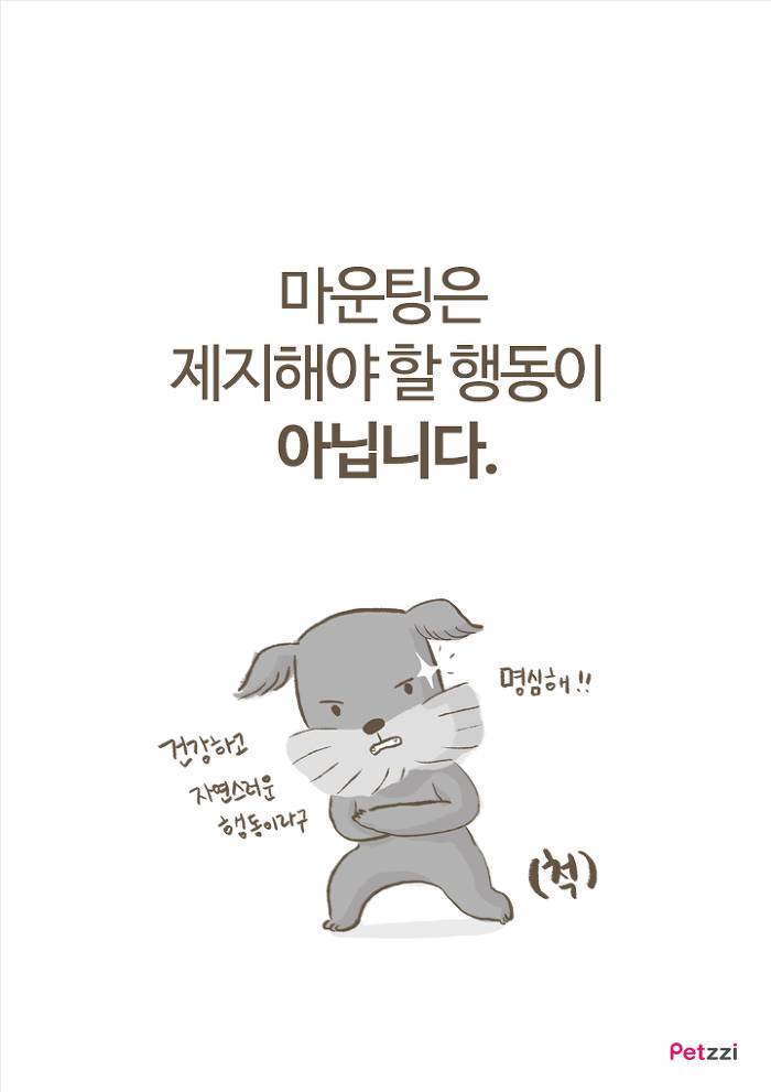 강아지 붕가붕가.jpg | 인스티즈