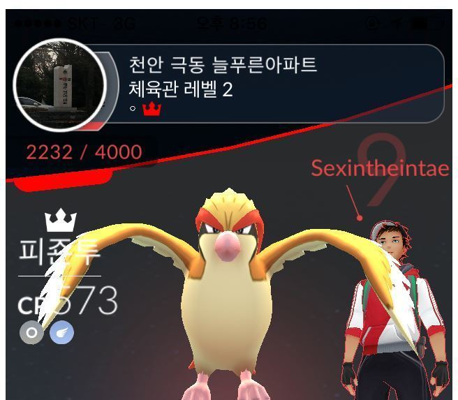 포켓몬고 초딩과 현피한 디시인.jpg | 인스티즈