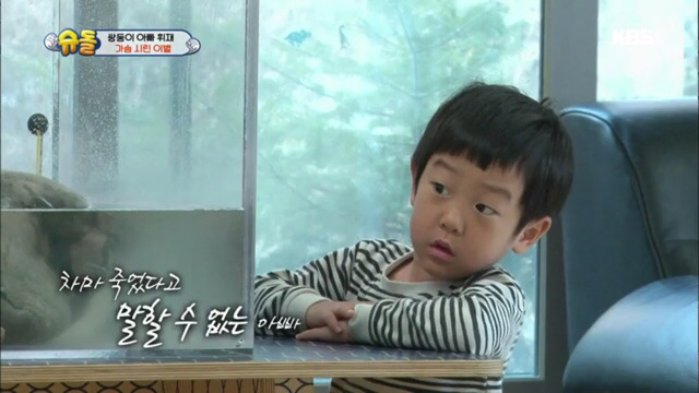 돌돌이와의 이별에 마음이 아픈 서준이 (맴찢주의.. ㅠㅠ) | 인스티즈