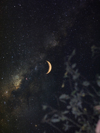 네가 버리지 못하는 유일한 문장이 되고 싶다 | 인스티즈