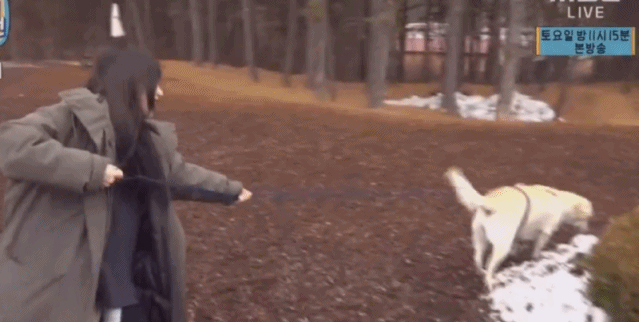 개한테도 호구취급당하는 AOA 민아.gif | 인스티즈