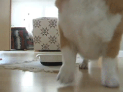 먹을거야?? 나도 줄거지?? | 인스티즈