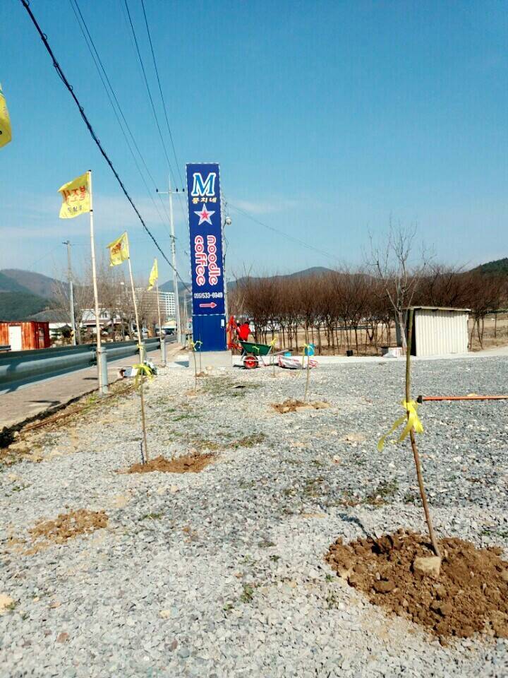 2월19일 일요일. 개소주가 되어버린 나의 가족 매실이를 예쁜매실나무로 만들어 보내주었습니다 | 인스티즈