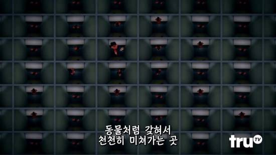 교도소의 독방 감금의 위험성.jpg | 인스티즈