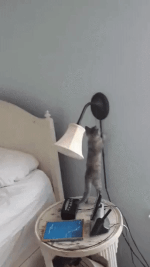 신박하게 전등 켜는 방법.gif | 인스티즈