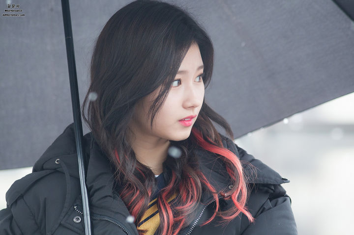 [트와이스] 첫눈속에 피는 사나 | 인스티즈