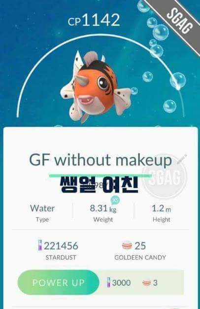 천조국의 흔한 포켓몬고 작명.jpg | 인스티즈