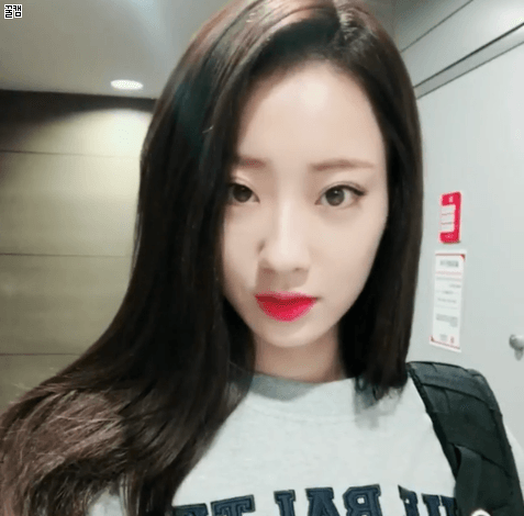 오늘자 정글가는 경리 | 인스티즈