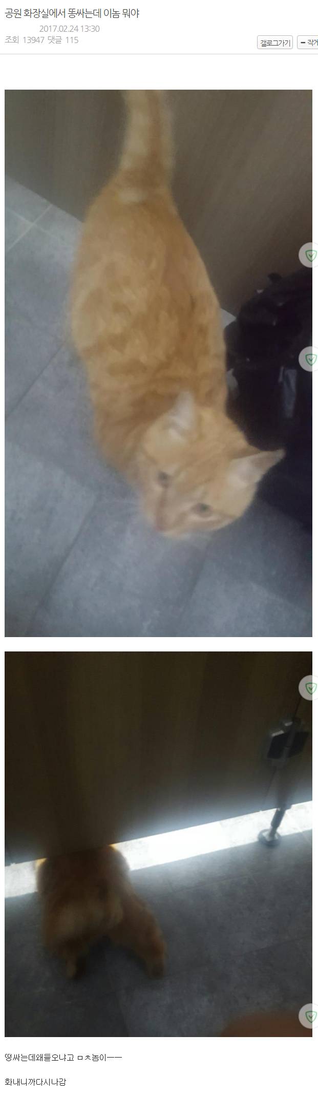 공원 화장실에서 똥싸는데 이놈뭐야 | 인스티즈