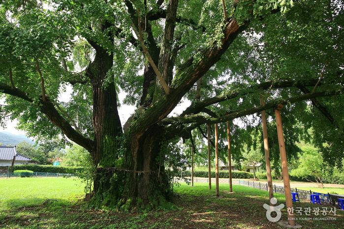 임진왜란때 왜적에게 공포의 대상이었던 경상도의 귀신 | 인스티즈