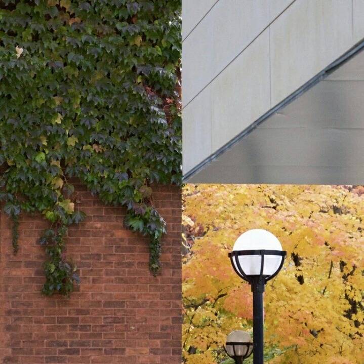 합성 아닌 사진 한 장.jpg(+이해를 돕는 다른 구도) | 인스티즈