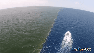 강과 바다의 경계.gif | 인스티즈