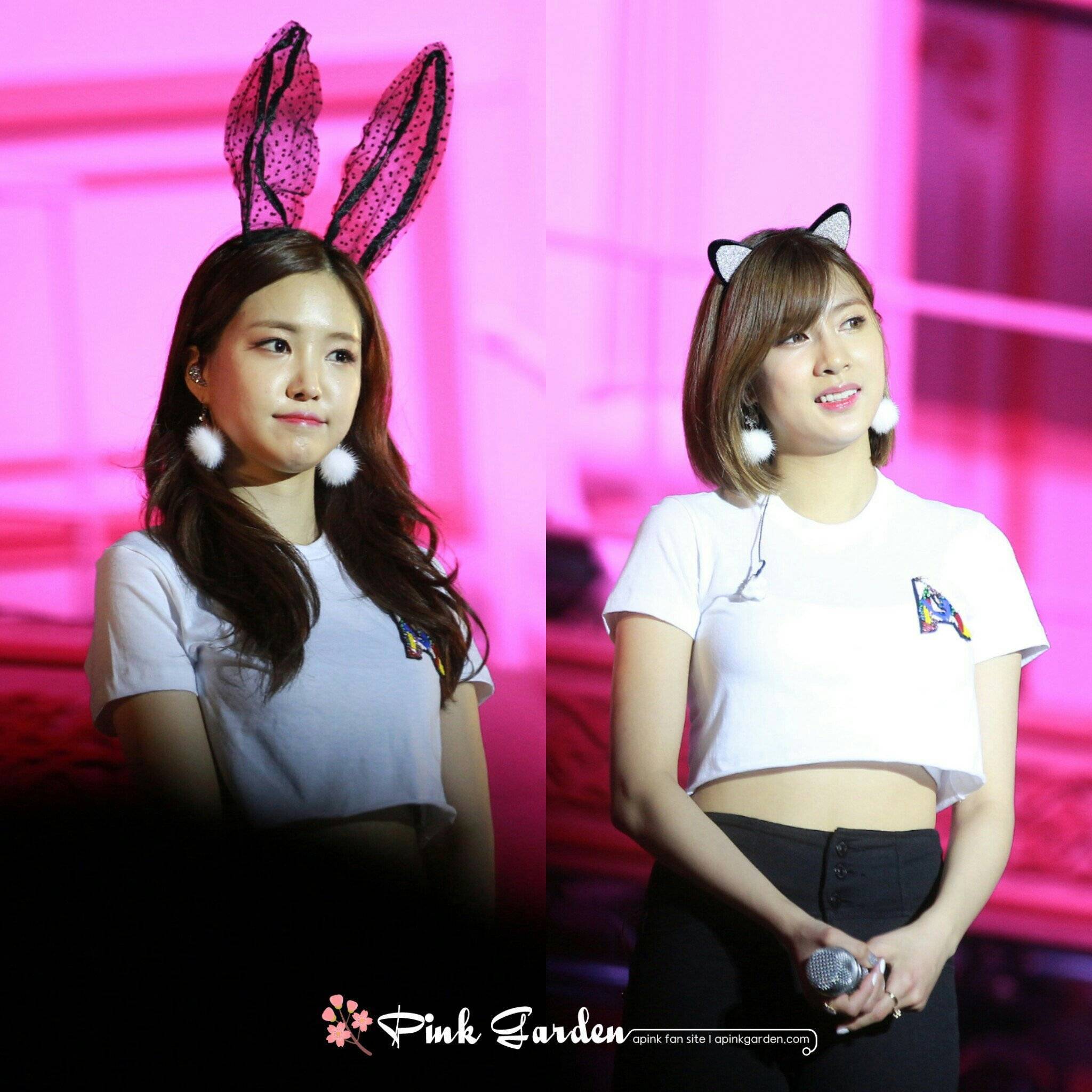 에이핑크 콘서트 사진.jpg | 인스티즈