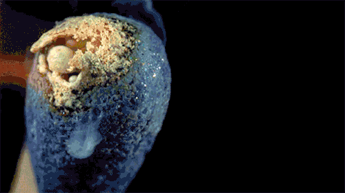 재밌는 화학반응들 2부! | 인스티즈