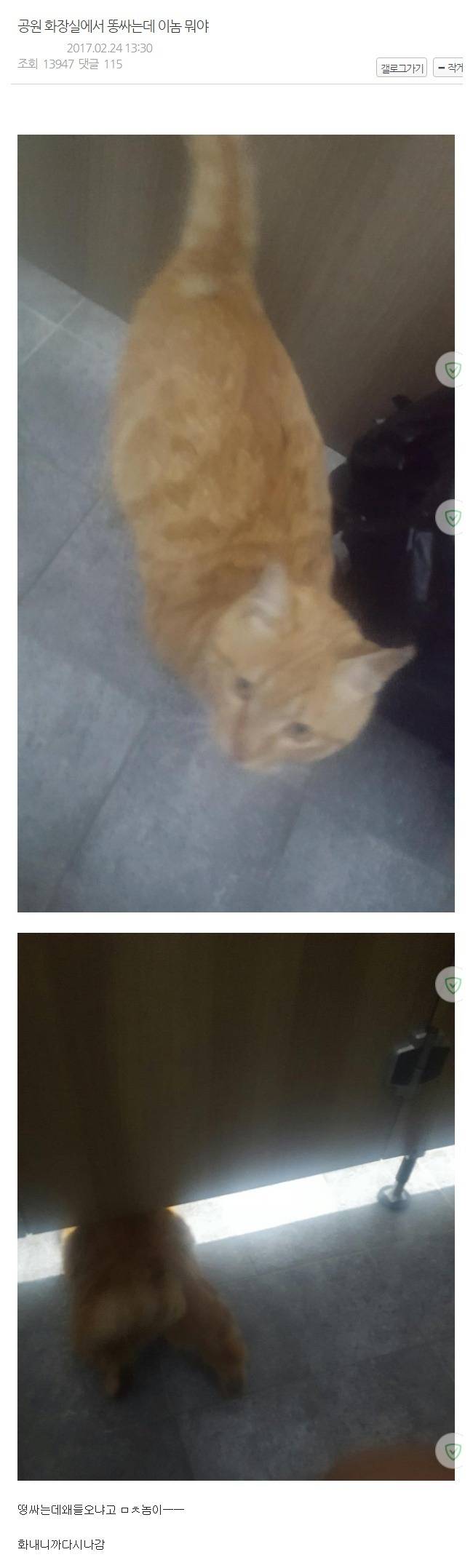 공원화장실에서 대변 보고 있는데 대놓고 들어옴 | 인스티즈