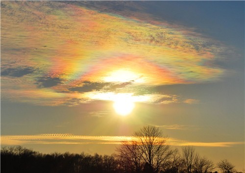 특이한 무지개들 | 인스티즈