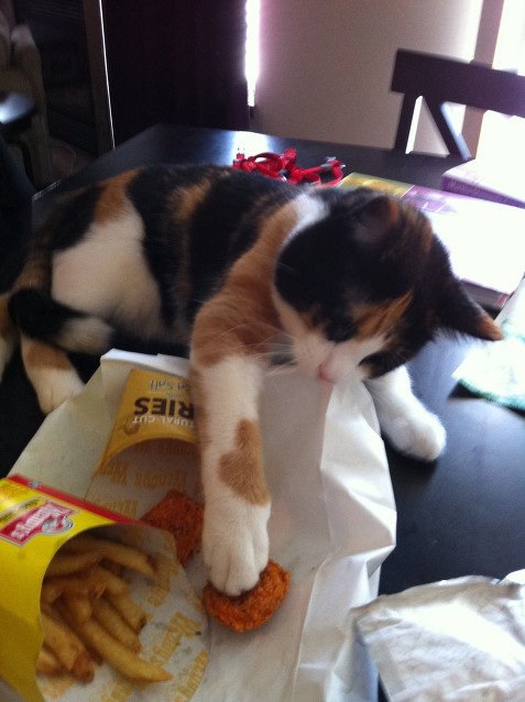 먹을거야?? 나도 줄거지?? | 인스티즈