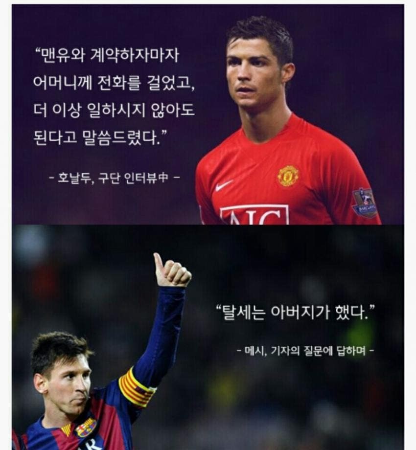 탈세는 아버지가 했다 | 인스티즈