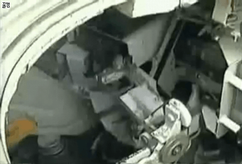 데이터주의 - 국군의 불곰 유전자.gif | 인스티즈