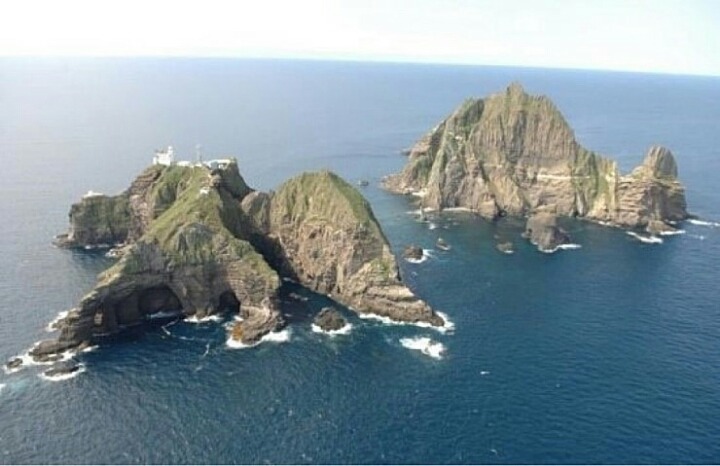 일본의 뱀이 한국의 뱀보다 약한이유 | 인스티즈