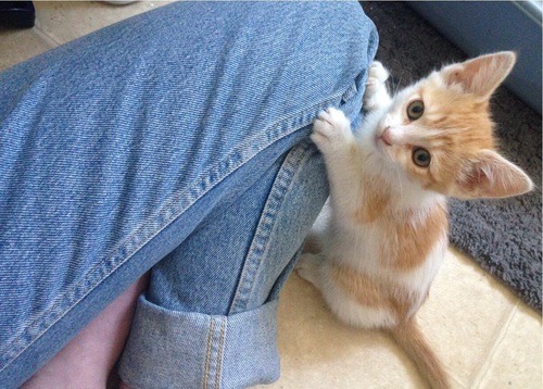  마지막 사랑은 어떤 모습으로 기억될까 | 인스티즈