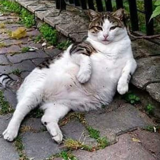 보지 못했어도 훤히 보이는 아이오아이 소속사 YMC 엔터테인먼트의 초반상황 | 인스티즈