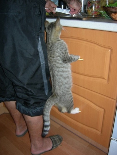 먹을거야?? 나도 줄거지?? | 인스티즈