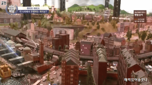 독일에서 유행하는 취미 | 인스티즈