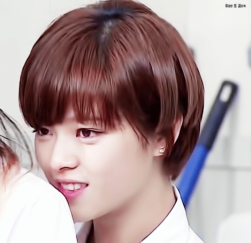 트와이스 정연 | 인스티즈