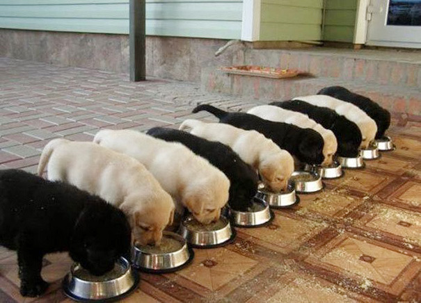 보면 편안해지고 마음이 안정되는 사진들.jpg | 인스티즈